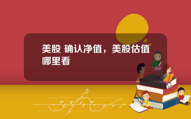 美股 确认净值，美股估值哪里看